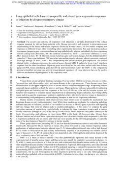 Lung epithelial cells have virus-specific and shared gene