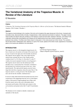 The Variational Anatomy of the Trapezius Muscle