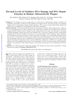 Elevated Levels of Oxidative DNA Damage and DNA