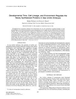 Developmental Time, Cell Lineage, and Environment Regulate the