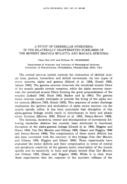 MACACA MULATTA AND MACACA SPECIOSA