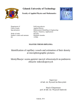Identification of capillary vessels