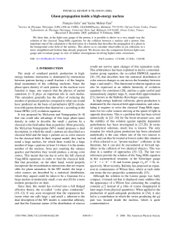 Gluon propagation inside a high-energy nucleus - IPhT
