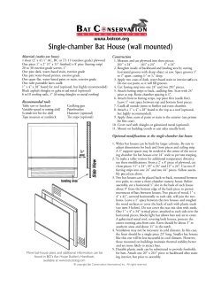 Single-chamber Bat House (wall mounted)
