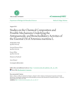 Studies on the Chemical Composition and Possible Mechanisms