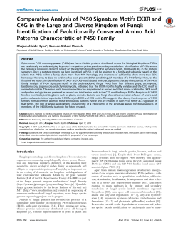 Comparative Analysis of P450 Signature Motifs EXXR and
