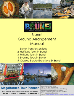 Brunei Ground Arrangement Manual