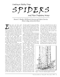 Casting a Sticky Trap: and Their Predatory Ways