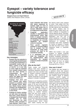 Eyespot &ndash; variety tolerance and fungicide efficacy