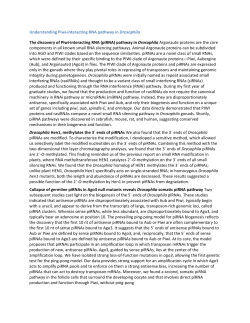 Understanding Piwi-interacting RNA pathway in Drosophila The