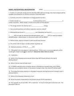 ENERGY, PHOTOSYNTHESIS, AND RESPIRATION N AM E: 1. If