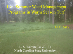 Summer Weed Management Programs for Warm Season