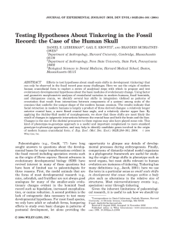 Testing Hypotheses About Tinkering in the Fossil Record: the Case