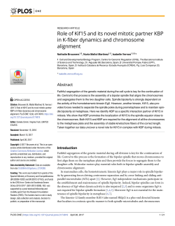 Role of Kif15 and its novel mitotic partner KBP in K-fiber