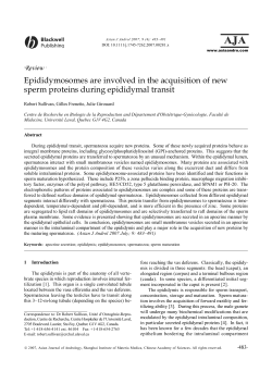 Epididymosomes are involved in the acquisition of new sperm