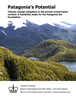 Patagonia`s Potential - Columbia | SIPA