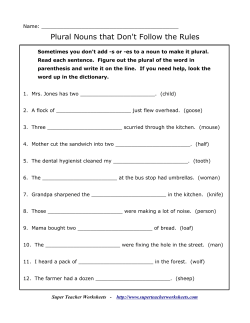 Plural Nouns that Don`t Follow the Rules