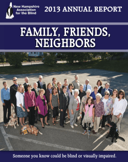 2013 annual report - New Hampshire Association for the Blind