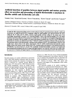 Artificial insertion of peptides between signal peptide