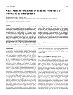 Novel roles for septins - Journal of Cell Science