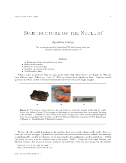 Substructure of the Nucleus