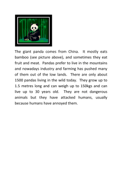 The giant panda comes from bamboo (see picture above) fruit and