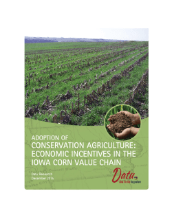 Adoption of Conservation Agriculture: Economic