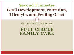 Detoxification and Weight Loss