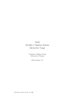 MAS Modula{2 Algebra System Interactive Usage