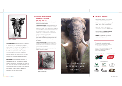 Guidelines for safe elephant viewing brochure