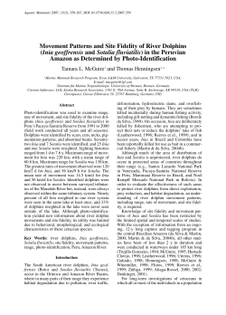 Movement Patterns and Site Fidelity of River Dolphins