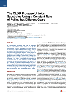 Joint work - StatPhysBio