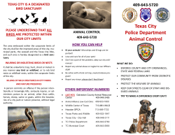 informational brochure