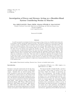 Investigation of Forces and Stresses Acting on a