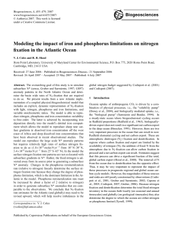 Modeling the impact of iron and phosphorus limitations on nitrogen