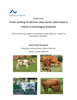 Protein profiling of milk from native Nordic cattle breeds