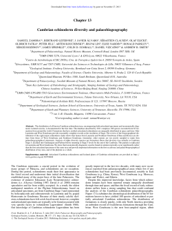 Chapter 13 Cambrian echinoderm diversity and