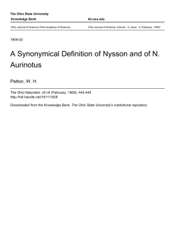 A Synonymical Definition of Nysson and of N