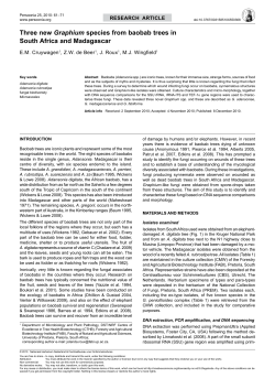 Three new Graphium species from baobab trees in South