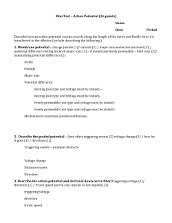 Mini Test &ndash; Action Potential (26 points) Name: Date: Period Describe