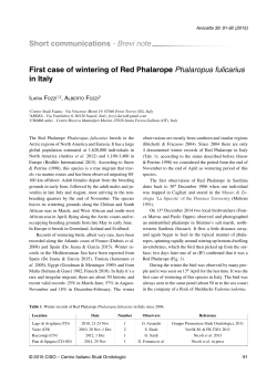 First breeding records of Northern Gannet Morus - CISO-COI