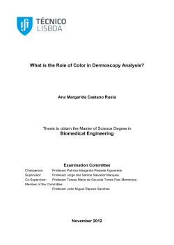 Thesis - T&eacute;cnico Lisboa