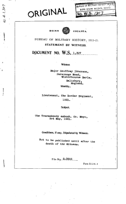 ROINN COSANTA. BUREAU STATEMENT BY WITNESS. 1913