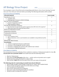 AP Biology Virus Project