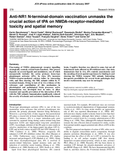 Anti-NR1 N-terminal-domain vaccination unmasks the crucial action