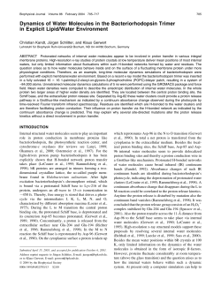 Dynamics of Water Molecules in the Bacteriorhodopsin