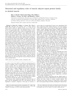 Structural and regulatory roles of muscle ankyrin repeat protein