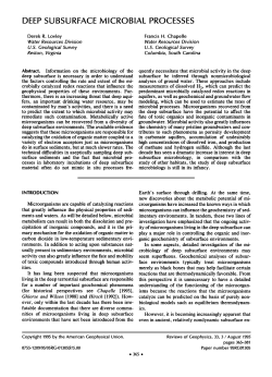 Deep Subsurface Microbial Processes