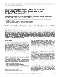 Structure of the Arabidopsis Glucan Phosphatase
