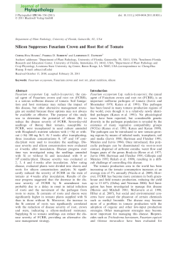 Silicon Suppresses Fusarium Crown and Root Rot of Tomato
